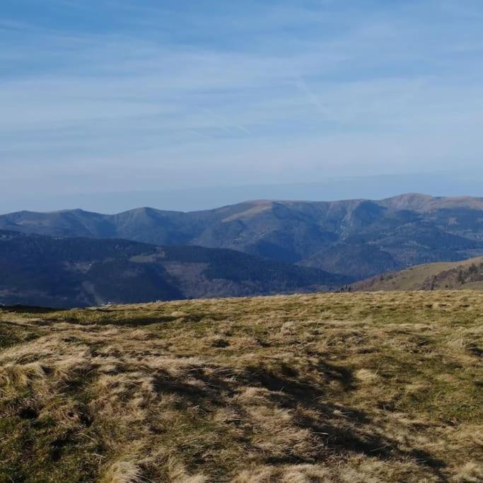 Aux Balcons De La Vallee Soultzeren Esterno foto