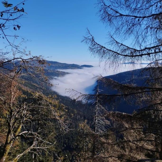 Aux Balcons De La Vallee Soultzeren Esterno foto