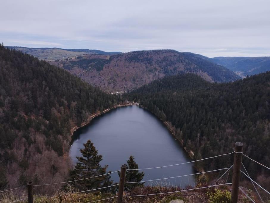Aux Balcons De La Vallee Soultzeren Esterno foto