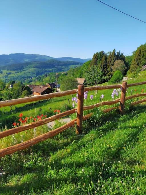 Aux Balcons De La Vallee Soultzeren Esterno foto